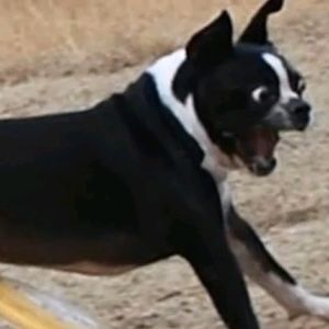 Meet your Posher, Anthony